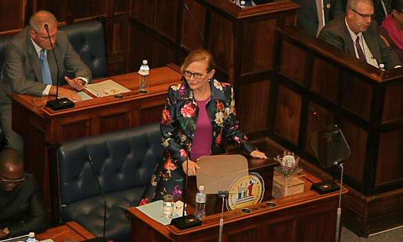 Helen Zille