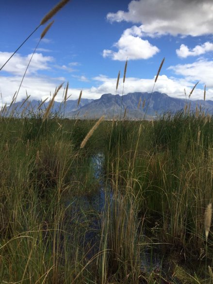 Papenkuils Wetland 