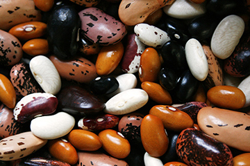 dried beans