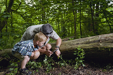 dad-and-son-in-nature.jpg