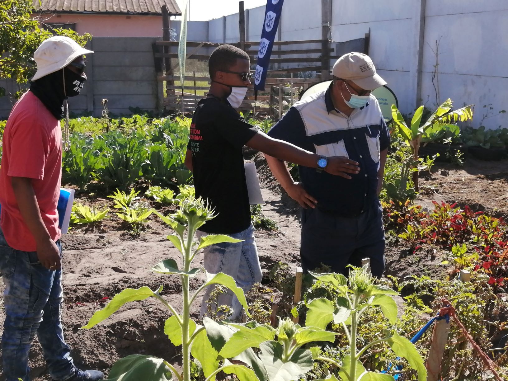 De Klerk brothers showing Minister the garden