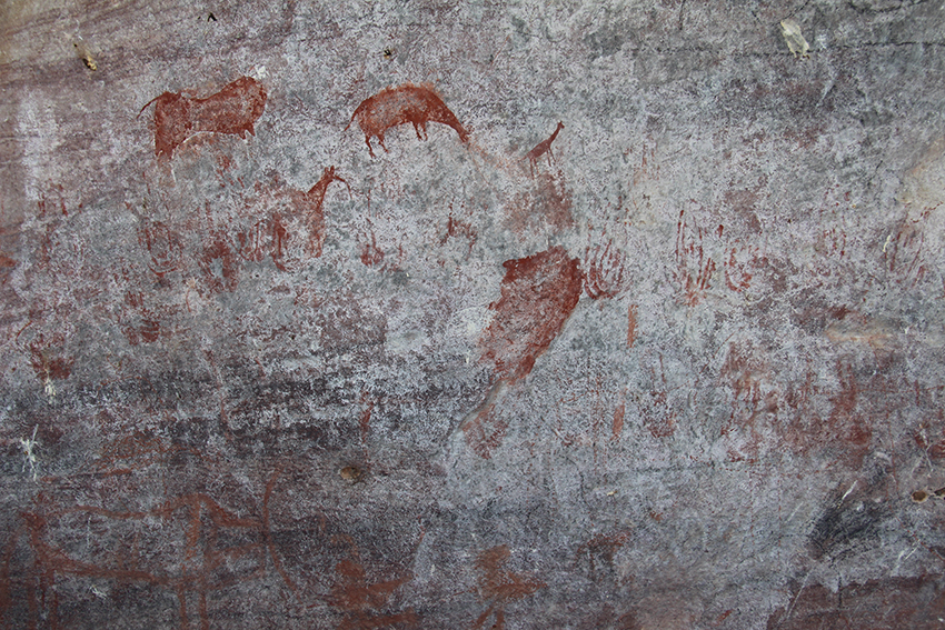 Diepkloof Rock Shelter also has several examples of rock art