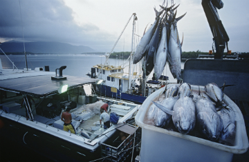 fishing boat