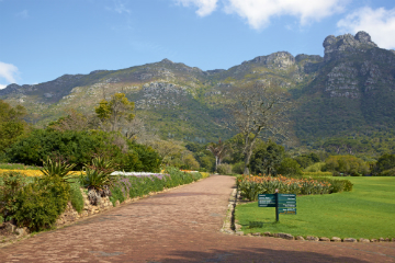 Kirstenbosch Botanical Garden