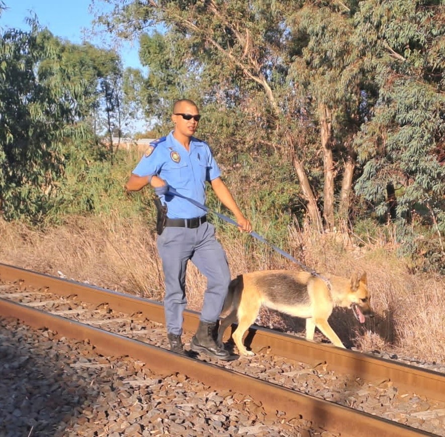 Malmesbury K9 Operation