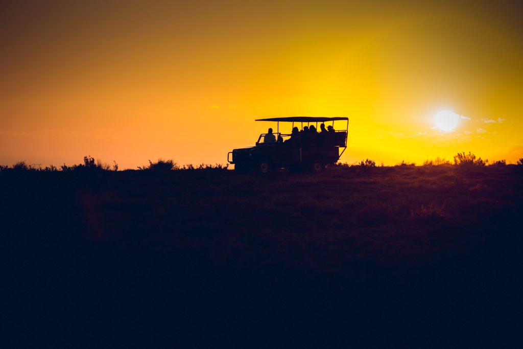 morning drive on safari