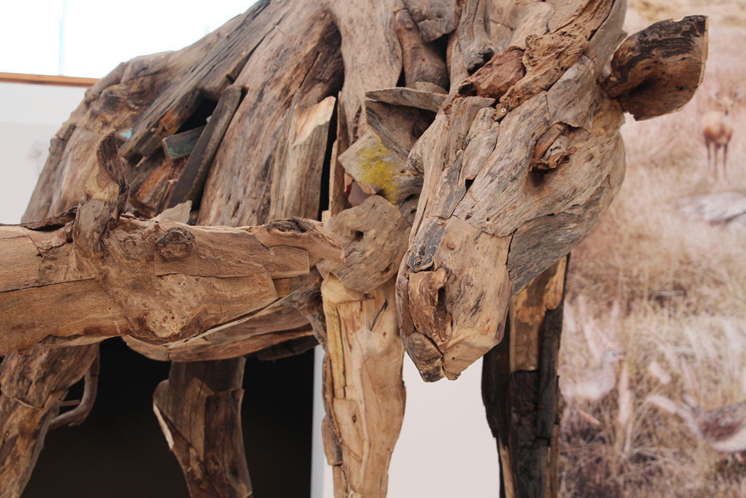 One of the exhibitions at the West Coast Fossil Park