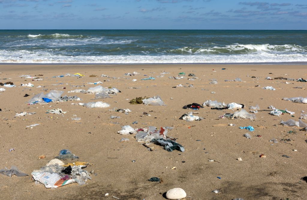 plastic pollution on beach