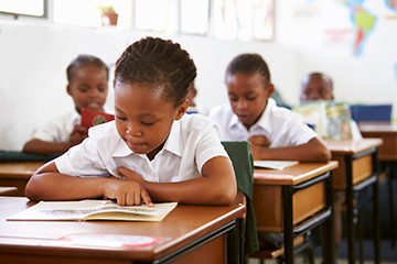 Primary school learner reading a book in class. 