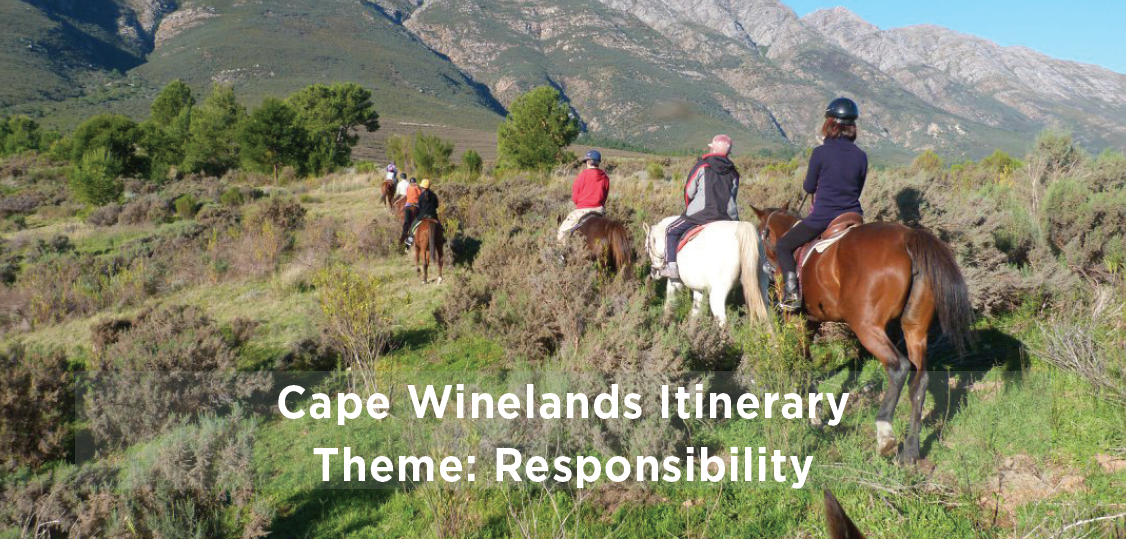 responsibility_theme_cape_winelands_banner.png