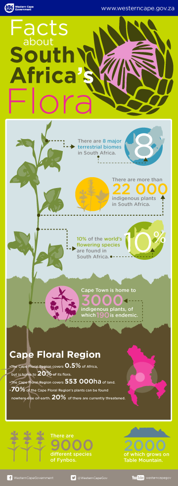 Facts about South African Flora