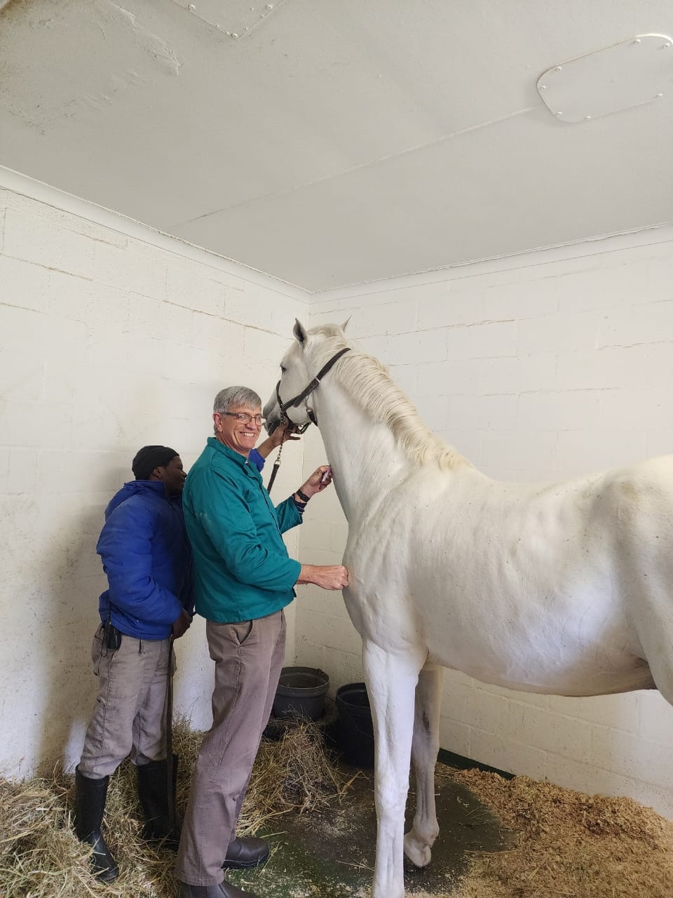 State Vet Vivian Malan inspecting horses prior their departure