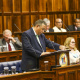 Minister Delivering Budget Speech