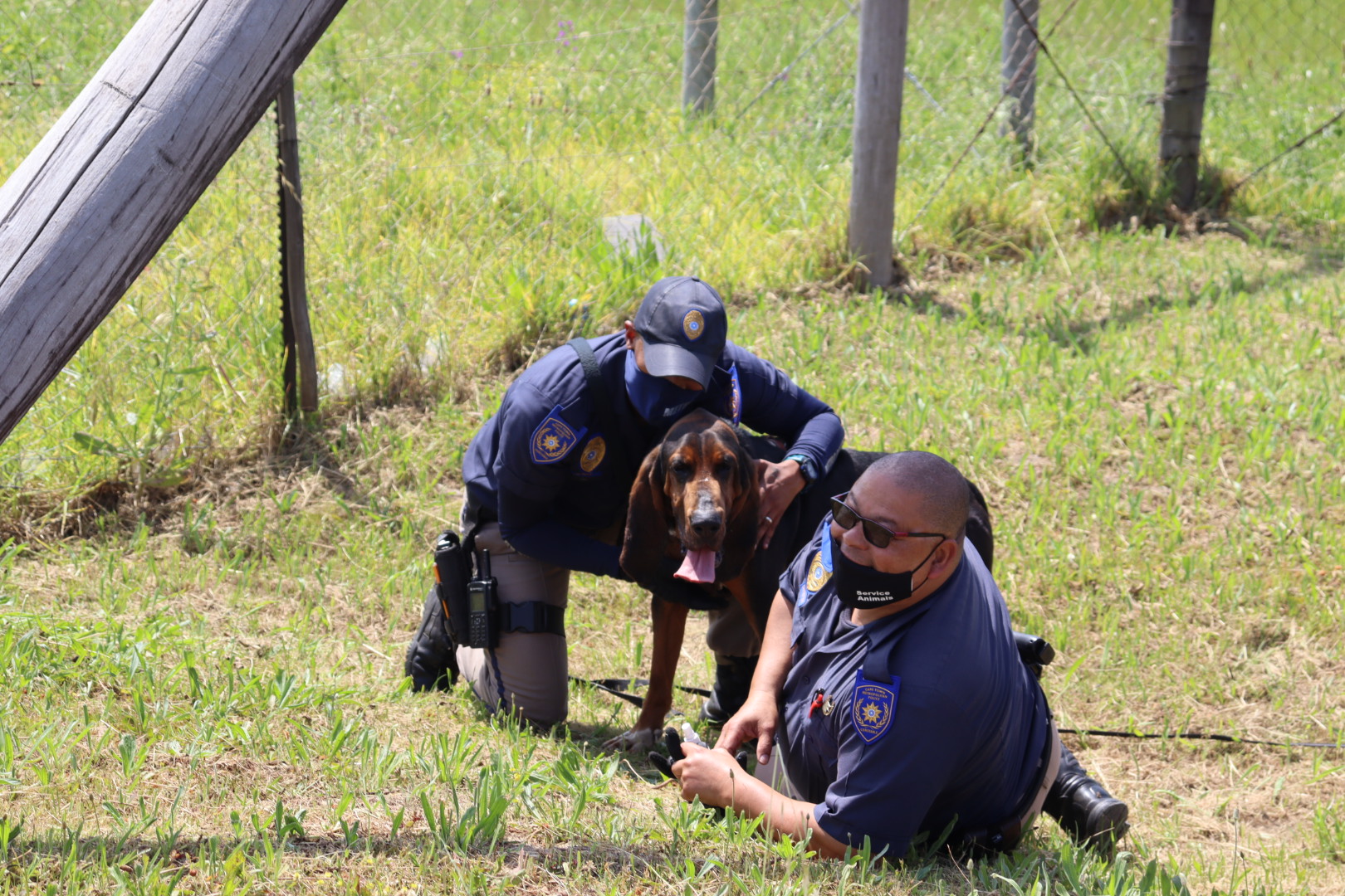 Successful detection of a 'missing person'