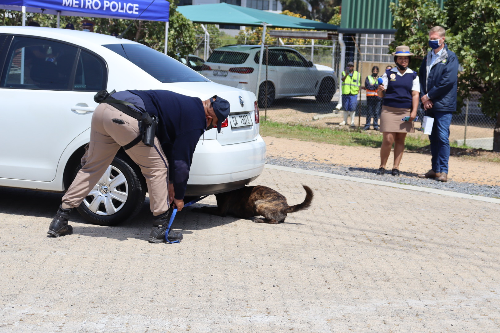 Successful detection of narcotics