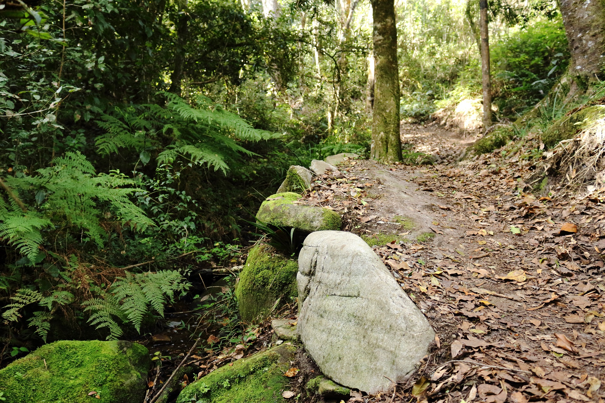 Garden Route Trail Park