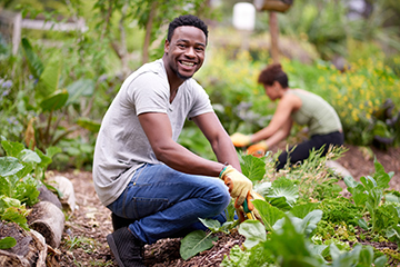 urban farmer