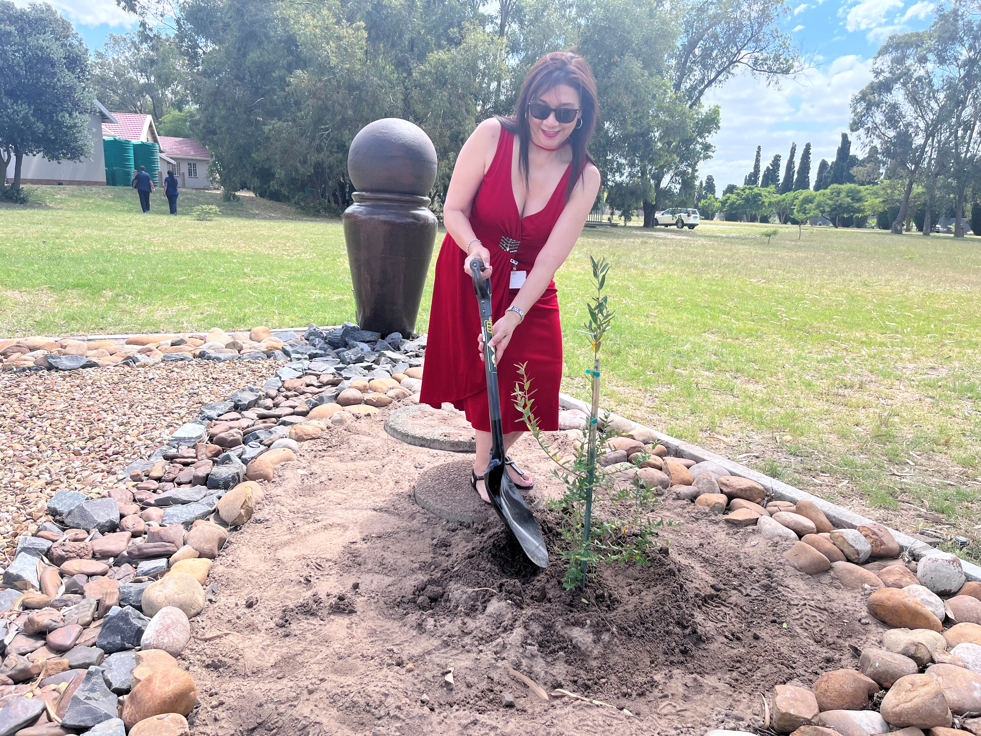 Stikland Hospital CEO, Lynette van der Berg plants a tree on World Aids Day.