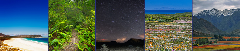 western cape touris banner