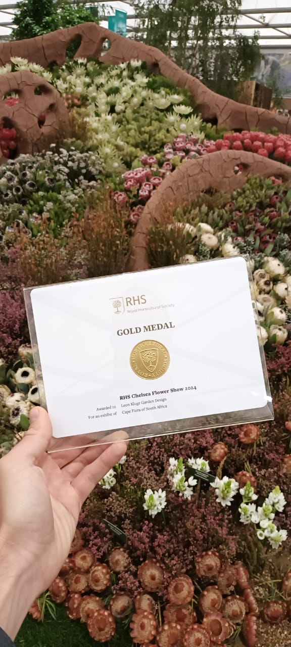 Cape Flora Exhibition wins gold at Chelsea Flower Show