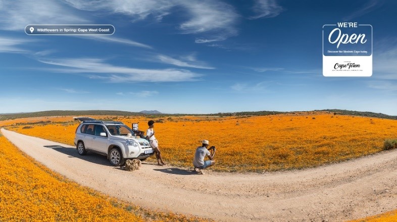 yellow fields